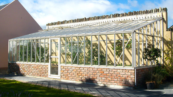 large arcadia white greenhouse on knee wall