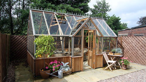 Alton cambridge cedar t shape greenhouse on patio